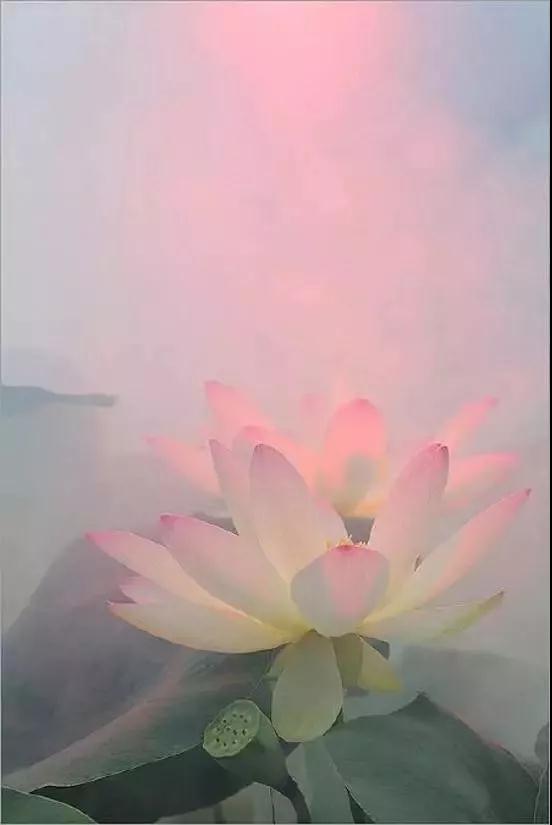 微信图片_20181129215208.jpg 微信图片_20181129215208.jpg