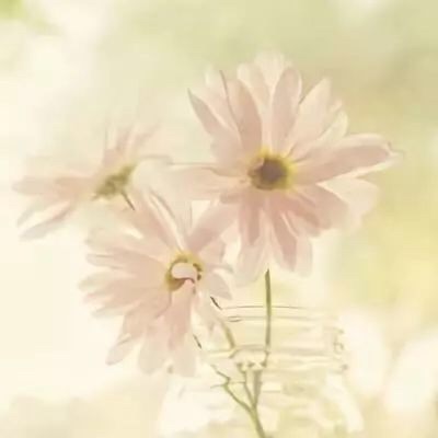 微信图片_20190116232211.jpg 微信图片_20190116232211.jpg