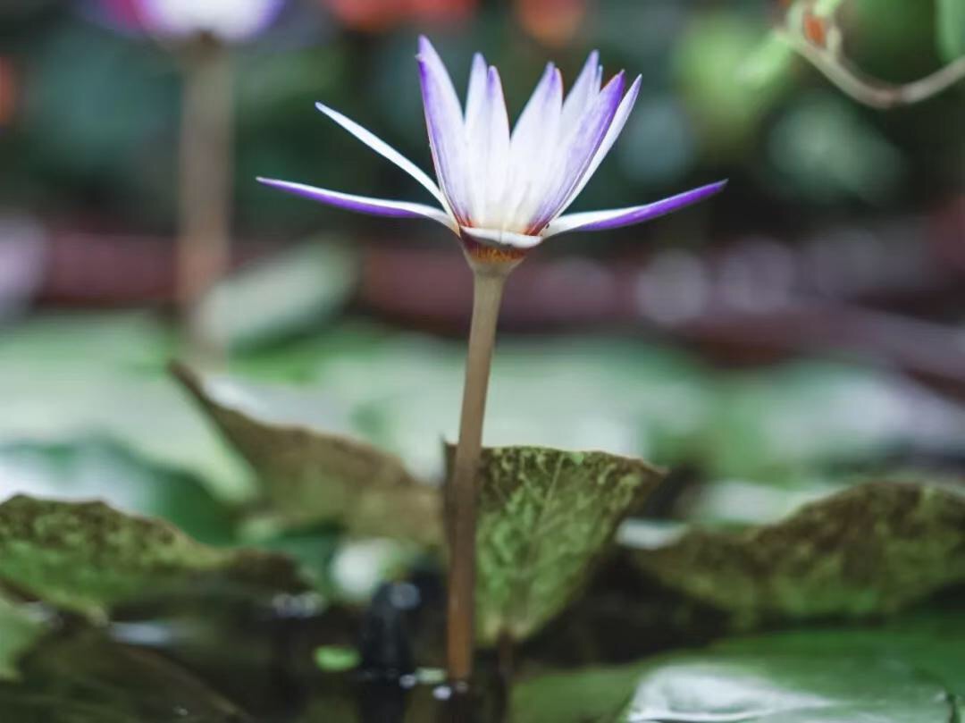 微信图片_20190509230402.jpg 微信图片_20190509230402.jpg