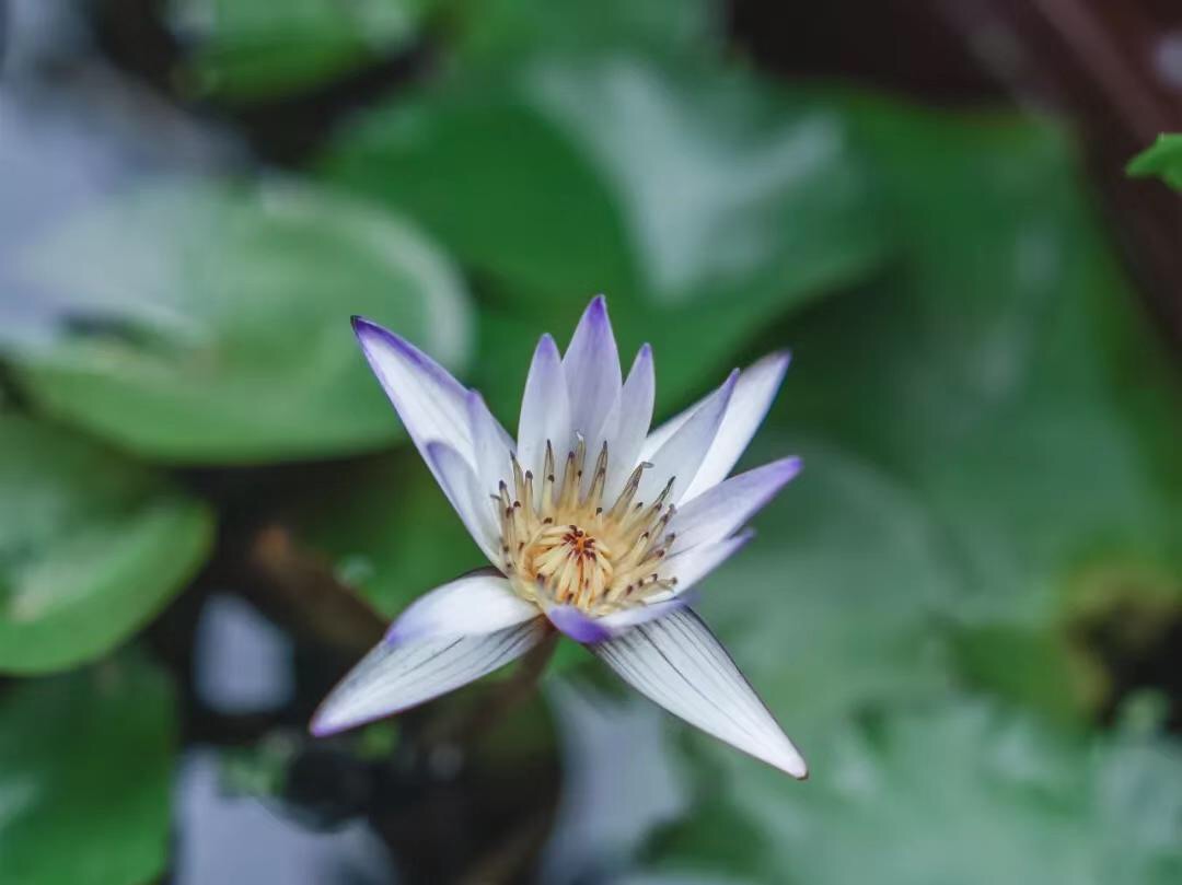 微信图片_20190509230355.jpg 微信图片_20190509230355.jpg