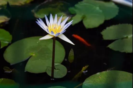 微信图片_20190601213200.jpg 微信图片_20190601213200.jpg