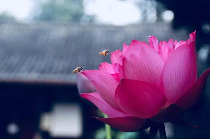 微信图片_20190730141312.jpg 微信图片_20190730141312.jpg