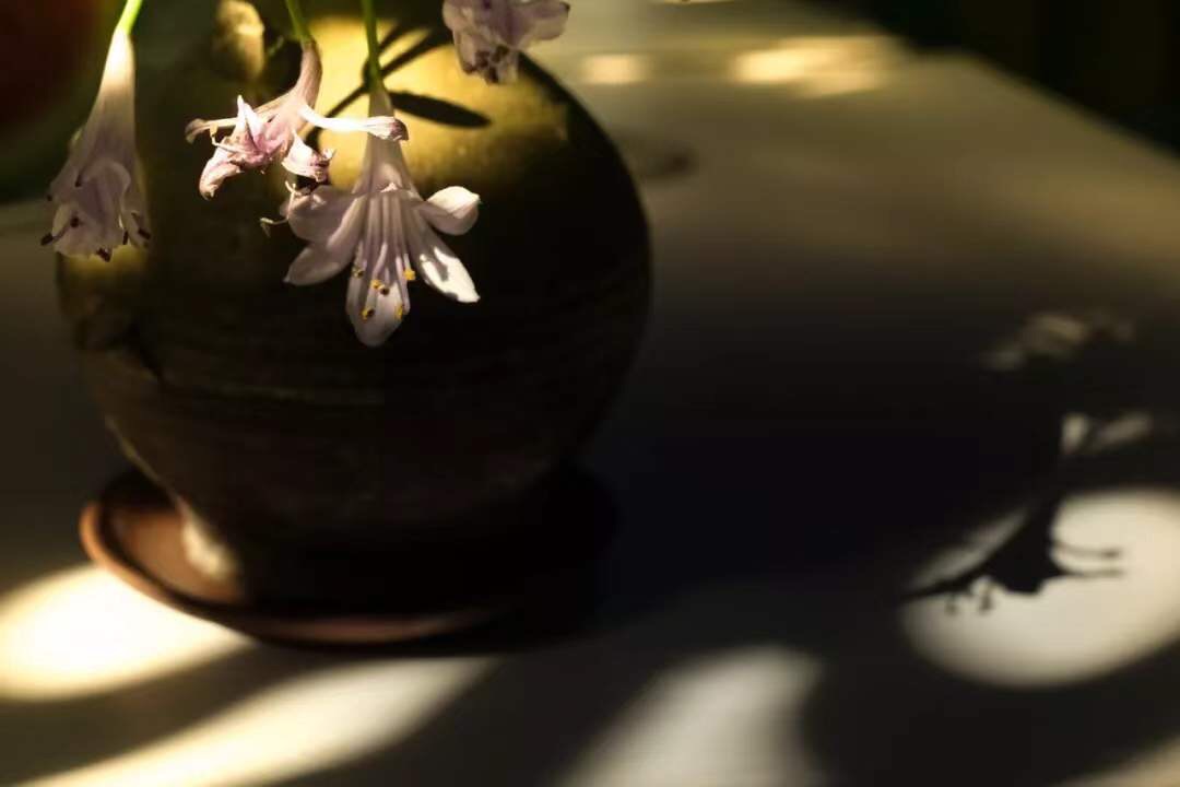 微信图片_20190921001208.jpg 微信图片_20190921001208.jpg