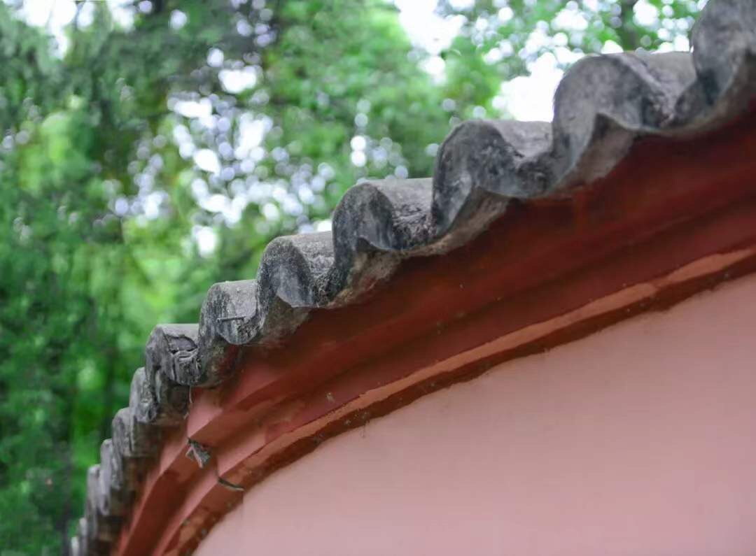 微信图片_20191009190643.jpg 微信图片_20191009190643.jpg