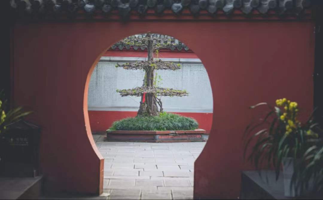 微信图片_20191023230411.jpg 微信图片_20191023230411.jpg