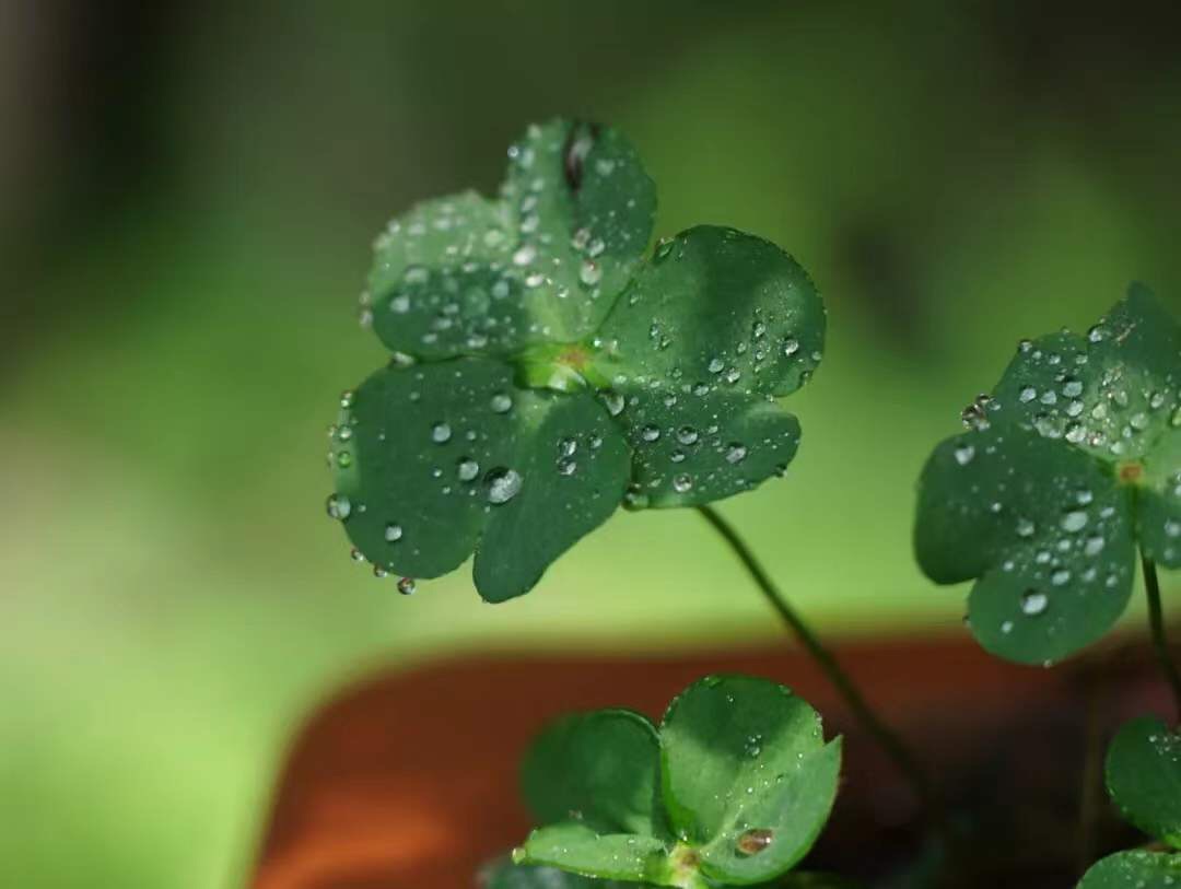 微信图片_20191115073001.jpg 微信图片_20191115073001.jpg