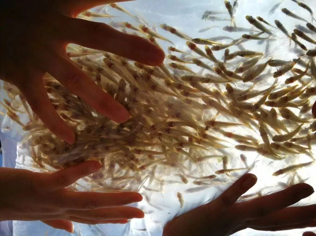 640-12.jpg 640-12.jpg