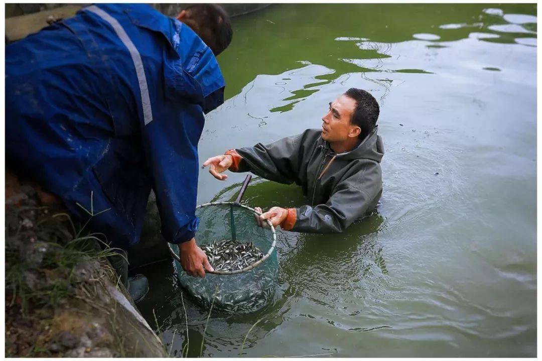 640-20.jpg 640-20.jpg