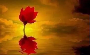 微信图片_20200401121800.jpg 微信图片_20200401121800.jpg