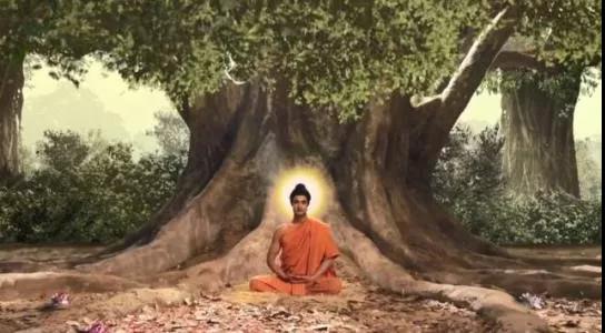 微信图片_20200428141016.jpg 微信图片_20200428141016.jpg