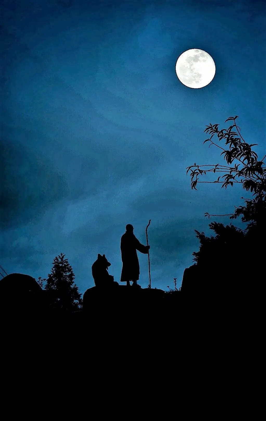 640.webp (71).jpg 640.webp (71).jpg