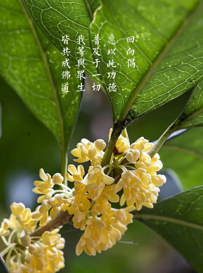 640.webp (72).jpg 640.webp (72).jpg