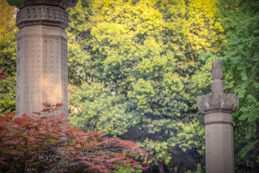 微信图片_20201024213929.jpg 微信图片_20201024213929.jpg