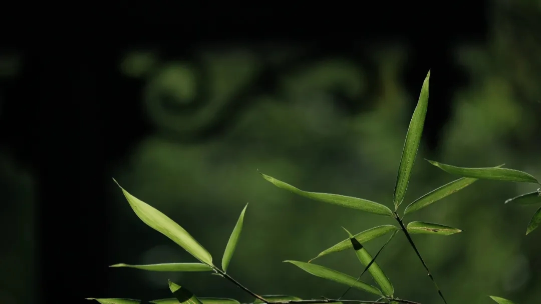 640.webp (76).jpg 640.webp (76).jpg