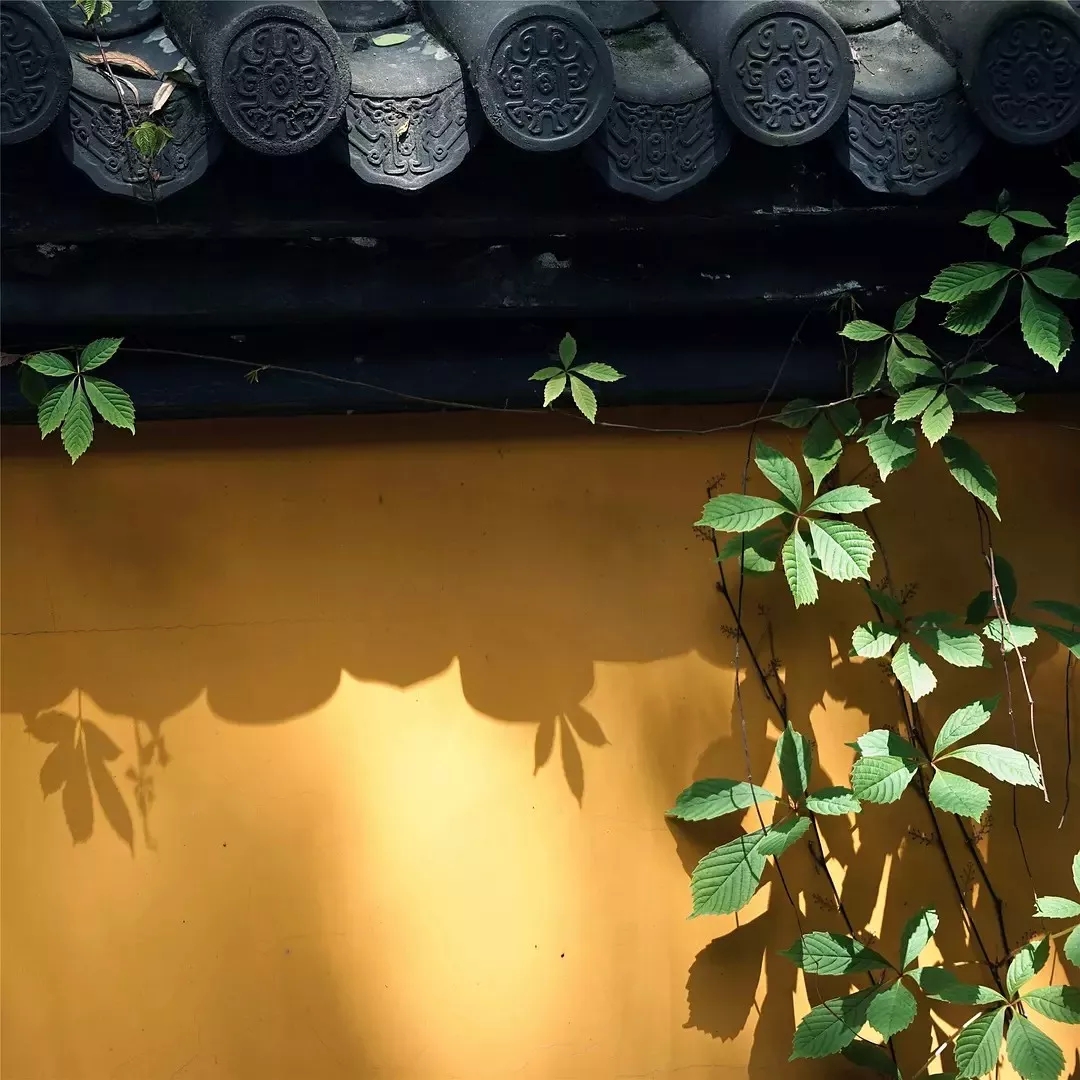 640.webp (86).jpg 640.webp (86).jpg