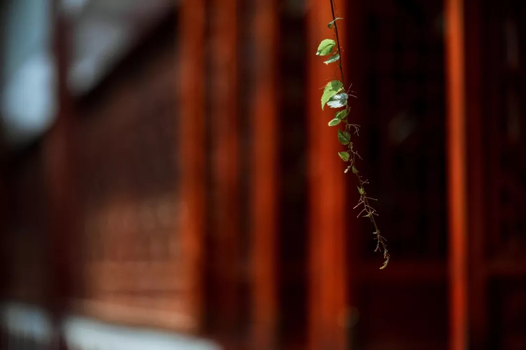 640.webp (94).jpg 640.webp (94).jpg